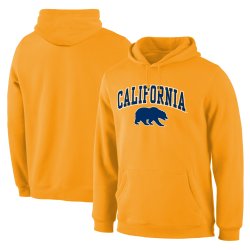 Fanatics Branded Cal Bears Gold Campus Pullover Hoodie