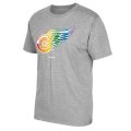 Men's Detroit Red Wings Reebok Gray Rainbow Pride T-Shirt