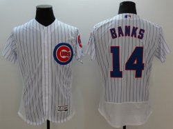 2016 Chicago Cubs #14 Ernie Banks White elite baseball jersey