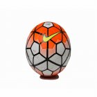 2015 premier league official match ball (2)