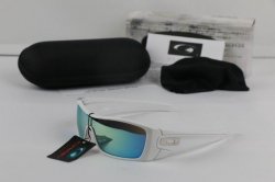 Oakley Sunglasses wholesale (163)