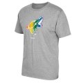 Men's Arizona Coyotes Reebok Gray Rainbow Pride T-Shirt