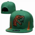 2023 Florida A&M Rattlers green NCAA Snapback Hats