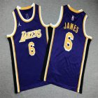 Youth Nike Los Angeles Lakers #6 LeBron James purple basketball jerseys -XD