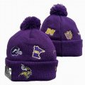 2024 Minnesota Vikings purple NFL Sports Cuffed Knit Hats