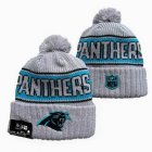 2024 Carolina Panthers gray blue black NFL Sports Cuffed Knit Hats