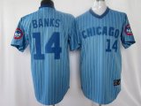 Chicago Cubs Banks 14 blue Jersey MLB Jersey