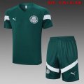 2023-2024 Palmeiras green soccer Training clothes D806