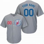 Custom Los Angeles Dodgers gray Flexbase baseball jerseys(1)