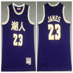 Los Angeles Lakers #23 LeBron James purple basketball jersey-XD