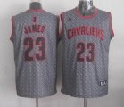 Cleveland Cavaliers LeBron James 23# gary fashion Swingman nba jerseys