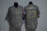 Chicago Cubs #23 Ryne Sandberg gray gold Flexbase Authentic Collection Jersey