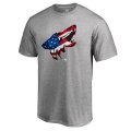 Men's Arizona Coyotes Fanatics Branded Ash Banner Wave T-Shirt