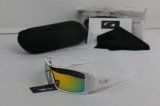 Oakley Sunglasses wholesale (30)