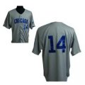 Chicago Cubs Banks 14# grey MLB Jersey