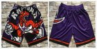 Toronto Raptors purple nba shorts-TY