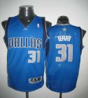 Dallas Mavericks Jason Terry #31 blue nba jerseys