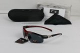 Oakley Sunglasses wholesale (93)