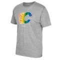 Men's Calgary Flames Reebok Gray Rainbow Pride T-Shirt