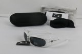 Oakley Sunglasses wholesale (52)