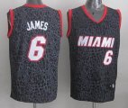 Miami Heat 6 LeBron James Black Decorative pattern nba jerseys