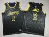 Youth Nike Los Angeles Lakers #6 LeBron James black Snake pattern style nike basketball jerseys -XD