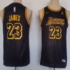 Youth Nike Los Angeles Lakers #23 LeBron James Black NBA Basketball jersey-CY