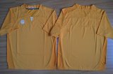 2015 Tennessee Volunteers Blank NCAA Football Jersey - Orange