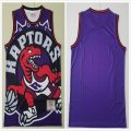 Toronto Raptors blank purple throwback nab jerseys