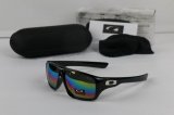 Oakley Sunglasses wholesale (136)