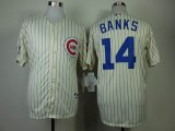 Chicago Cubs Banks 14 beige blue stripe MLB Jersey