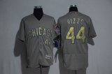 Chicago Cubs Anthony Rizzo #44 gray gold Flexbase Authentic Collection Jersey