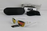 Oakley Sunglasses wholesale (123)