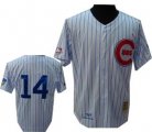 Chicago Cubs white 14# jersey Banks mlb jersey