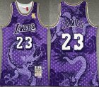 Los Angeles Lakers #23 LeBron James purple throwback NBA Basketball jersey-XD