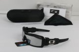 Oakley Sunglasses wholesale (5)