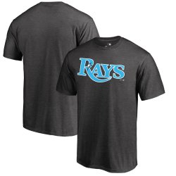 Men\'s Tampa Bay Rays Fanatics Branded Heather Gray 2018 Father\'s Day Blue Wordmark T-Shirt