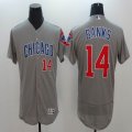 2016 Chicago Cubs #14 Ernie Banks gray Flexbase baseball jerseys