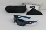 Oakley Sunglasses wholesale (66)