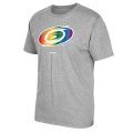 Men's Carolina Hurricanes Reebok Gray Rainbow Pride T-Shirt