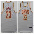 Cleveland Cavaliers LeBron James #23 gray Swingman nba shorts jersey