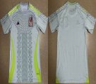 2024-2025 Mexico Team thailand version gray soccer jerseys away