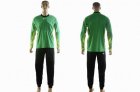 Nike Goalkeeper Green jerseys