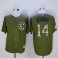 Chicago Cubs Jerseys #14 Ernie Banks green mlb baseball Jerseys