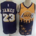 Nike Los Angeless Lakers #23 LeBron James purple Yellow basketball Jersey -LD