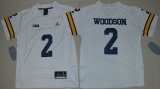 Youth Jordan Brand Michigan Wolverines Charles Woodson 2 College Football Limited Jersey - White