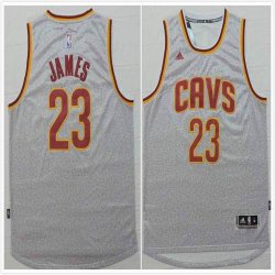 Cleveland Cavaliers LeBron James #23 gray Swingman nba shorts jersey