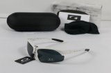 Oakley Sunglasses wholesale (133)